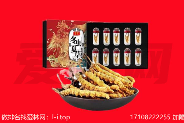 兰州市城关回收虫草.jpg